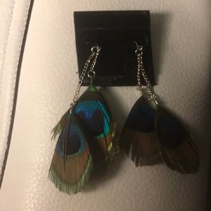Peacock Feather Earrings